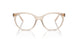 2884 - Brown