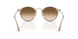124051 - Grey - Clear Gradient Brown