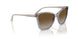 3099T5 - Grey - Grey Gradient Brown Polar