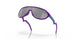 946704 - Purple/reddish - Prizm Black