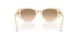 24R20S - White - Yellow Gradient Brown