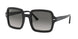 Ray-Ban 2188F Sunglasses