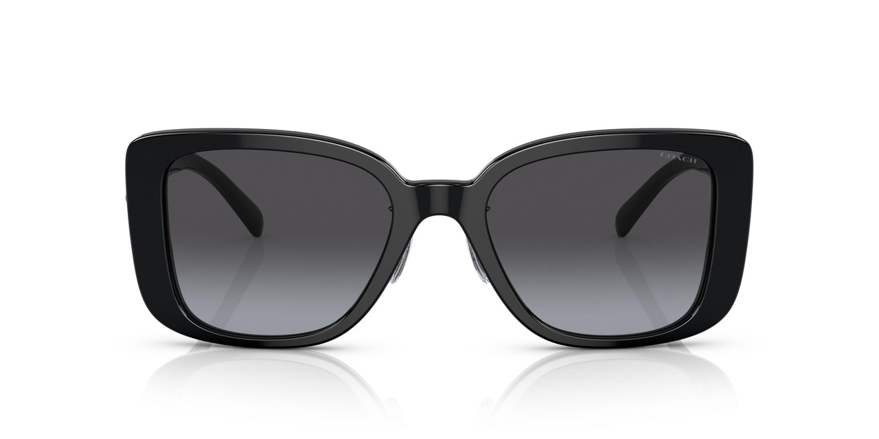 50028G - Black - Grey Gradient