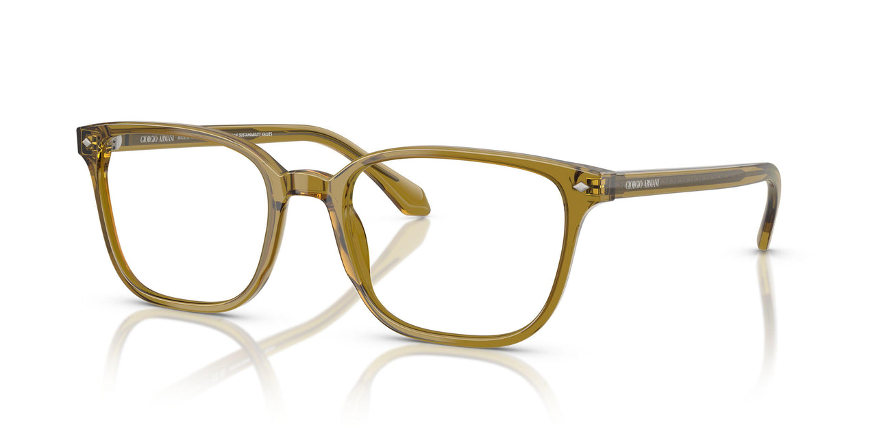 6172 - Brown