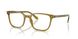 6172 - Brown