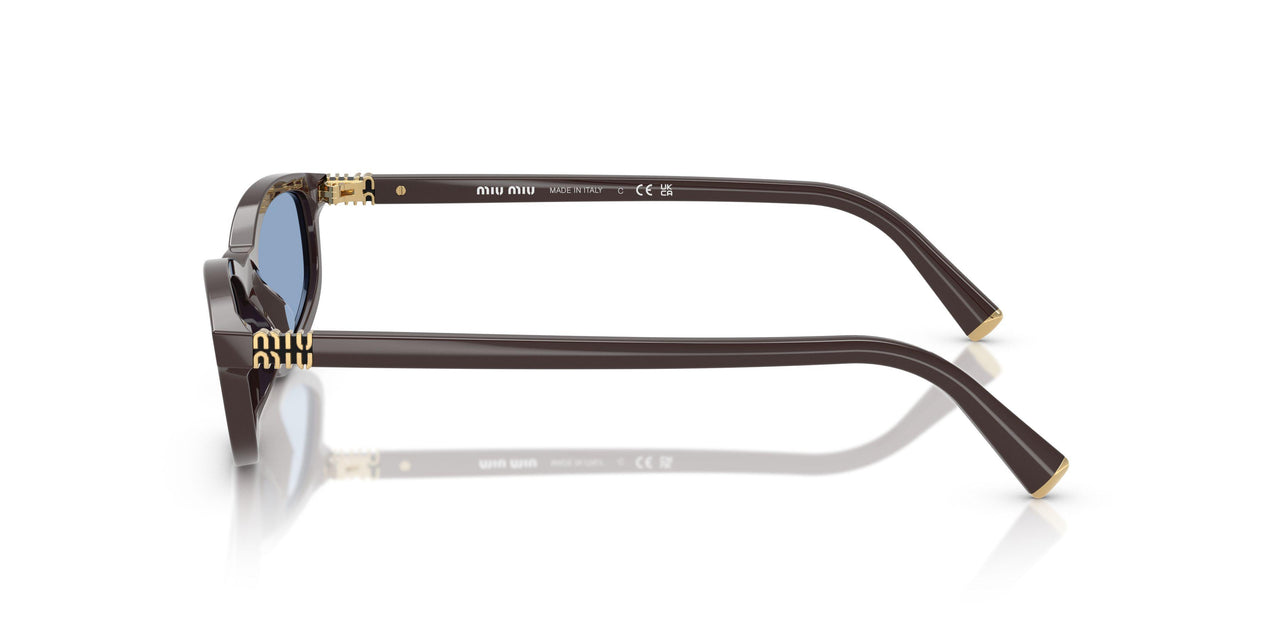 22C60O - Brown - Light Blue