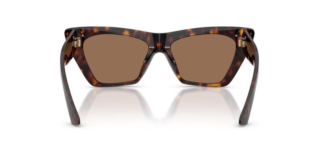 500273 - Tortoise - Dark Brown