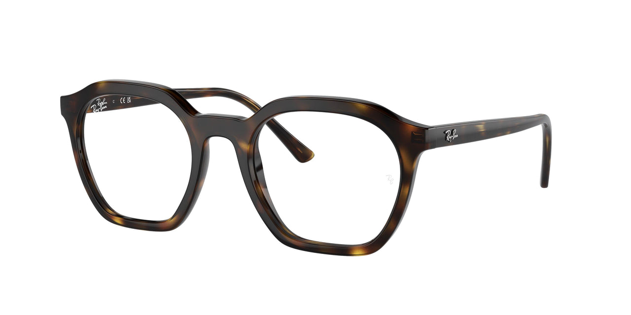 Ray-Ban Alice 7238F Eyeglasses