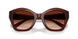 584174 - Brown - Brown Gradient