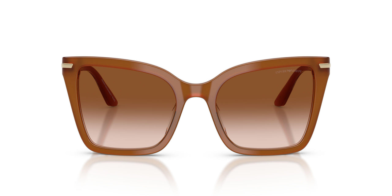 637613 - Brown - Brown Gradient
