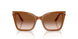 637613 - Brown - Brown Gradient