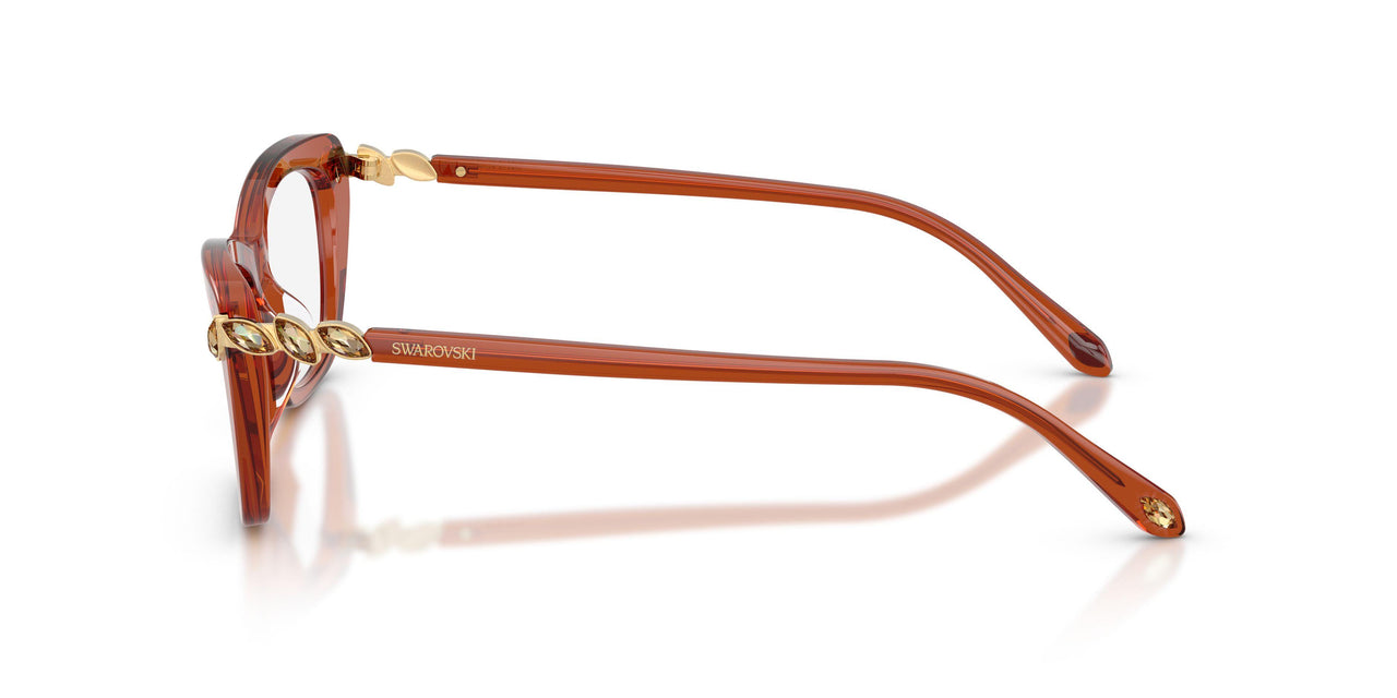1112 - Brown