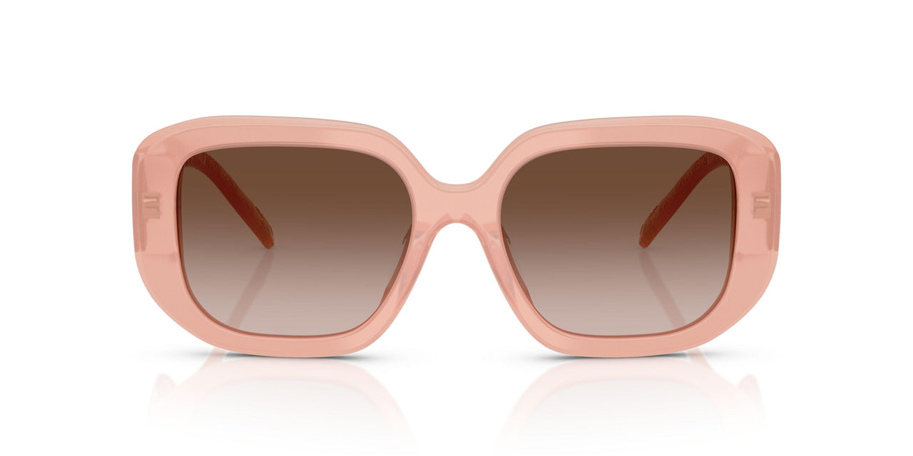 202813 - Pink - Brown Gradient