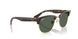 1359VR - Tortoise - Dark Green
