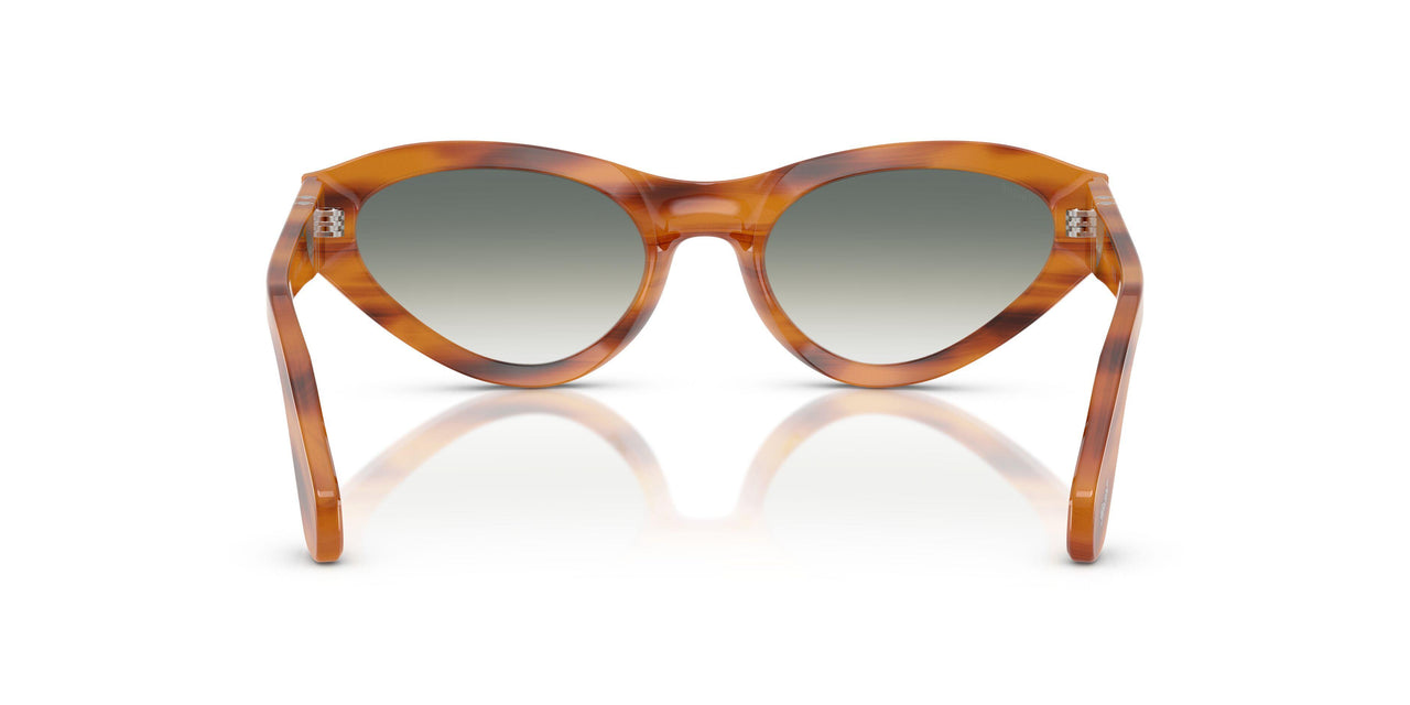 960/3A - Tortoise - Clear Gradient Green