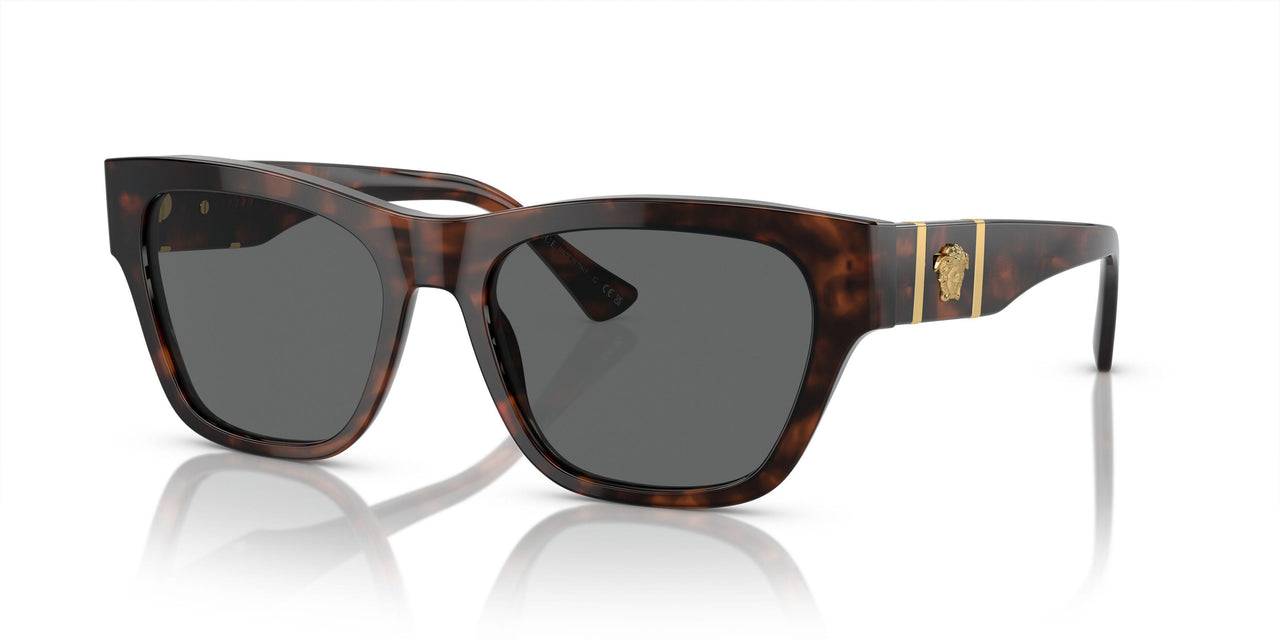542987 - Tortoise - Dark Grey