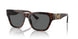 542987 - Tortoise - Dark Grey