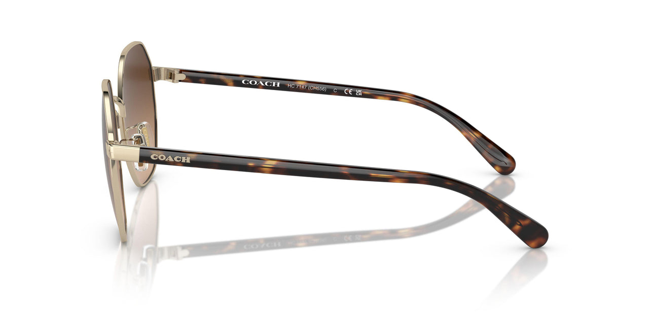 900574 - Gold - Brown Gradient