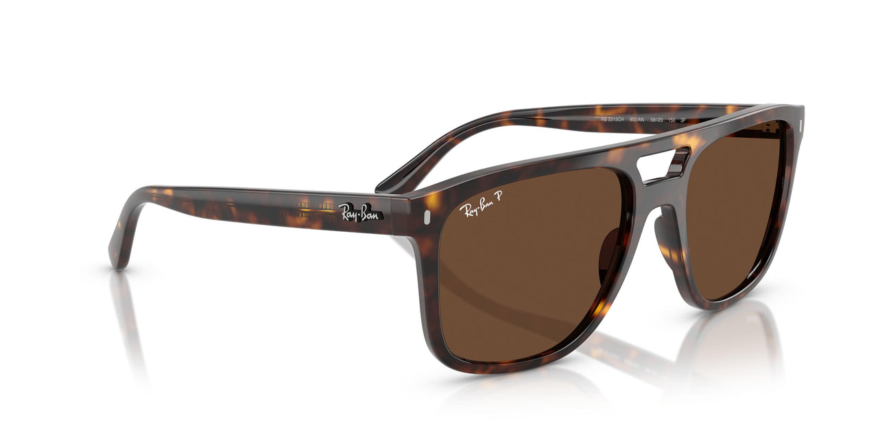 902/AN - Tortoise - Polar Brown