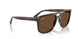 902/AN - Tortoise - Polar Brown