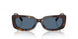 500280 - Tortoise - Dark Blue