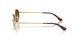 848/T5 - Gold - Grey Gradient Brown Polarized