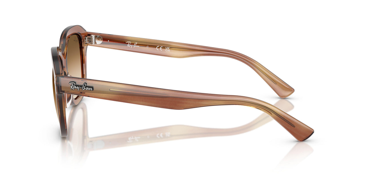 140351 - Tortoise - Clear Gradient Brown