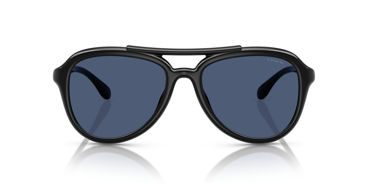 500287 - Black - Blue Solid