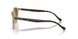 W900T5 - Brown - Polar Brown Gradient