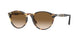 900551 - Tortoise - Brown Gradient