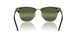 990/58 - Red Havana - Crystal Green Polarized