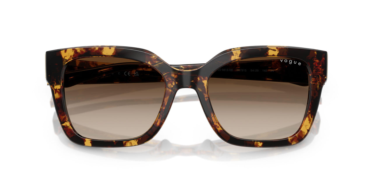 317913 - Tortoise - Gradient Brown