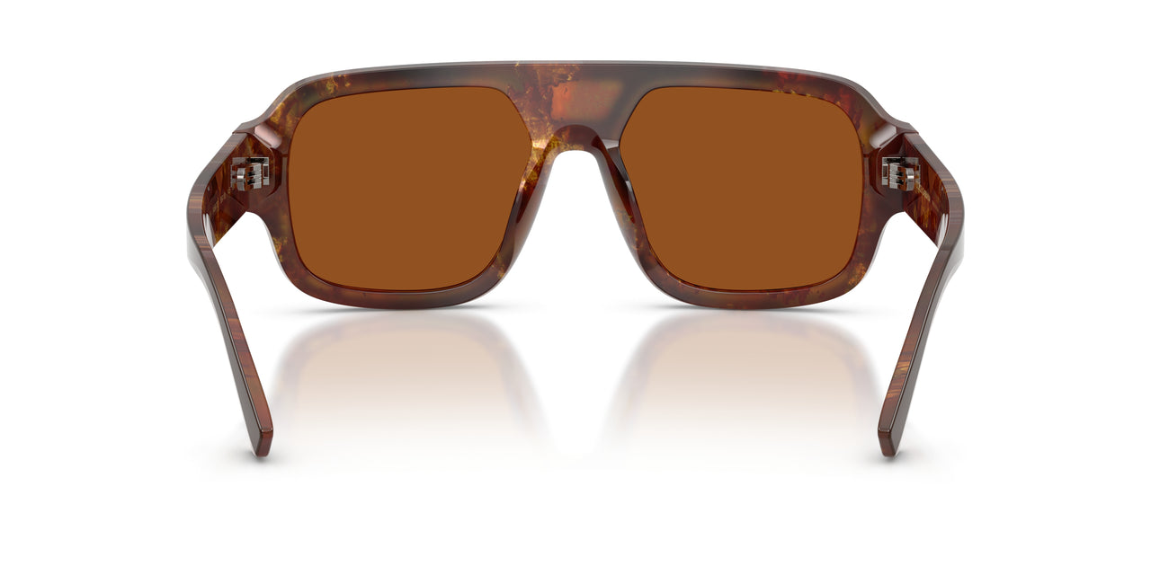 345673 - Brown - Dark Brown