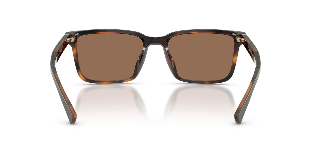 607573 - Green - Dark Brown