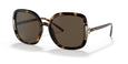 151973 - Havana - Solid Brown