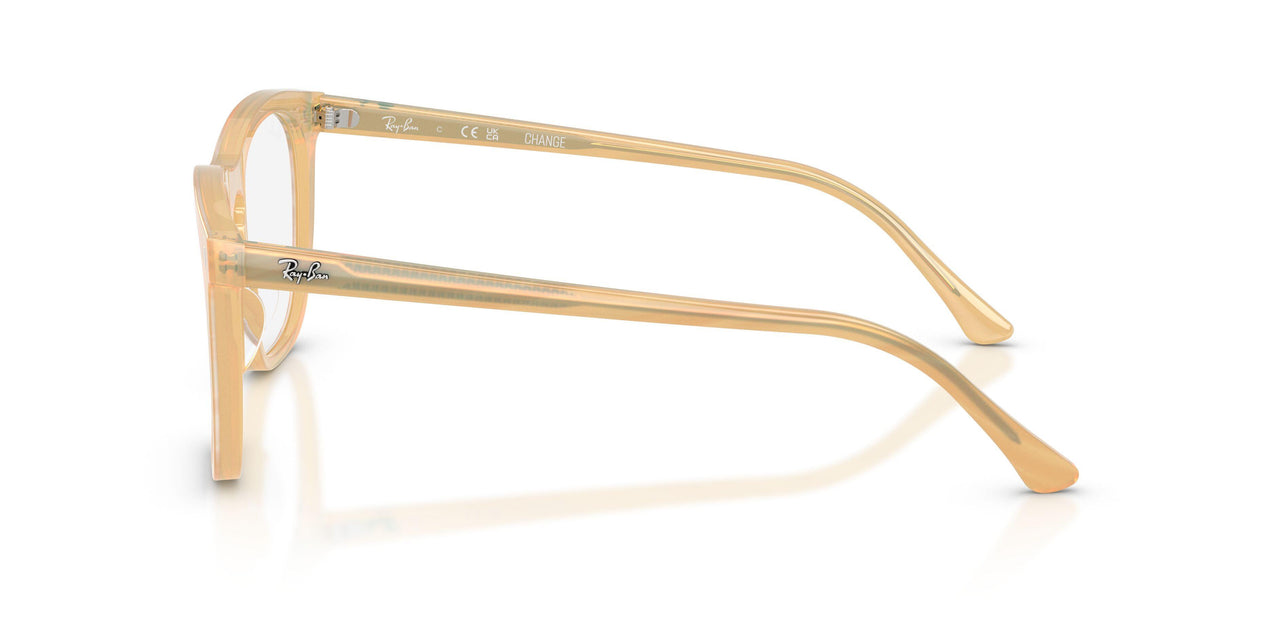 8383 - Brown - Clear