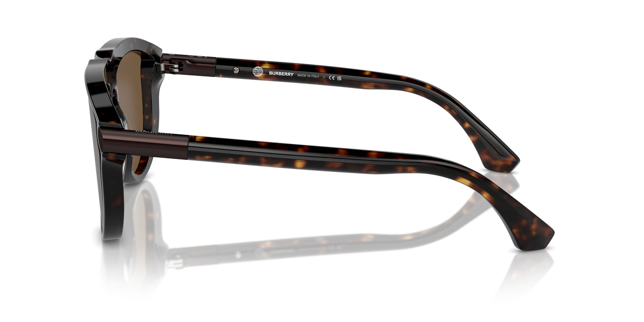 300273 - Brown - Brown