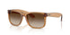 681413 - Brown - Gradient Brown