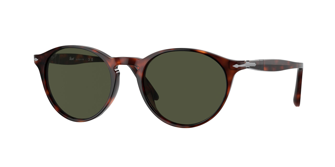 901531 - Tortoise - Green