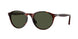 901531 - Tortoise - Green