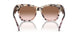 334513 - Tortoise - Brown Pink Gradient