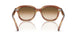 140351 - Tortoise - Clear Gradient Brown