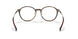 2012 - Tortoise