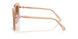 106313 - Brown - Brown Gradient