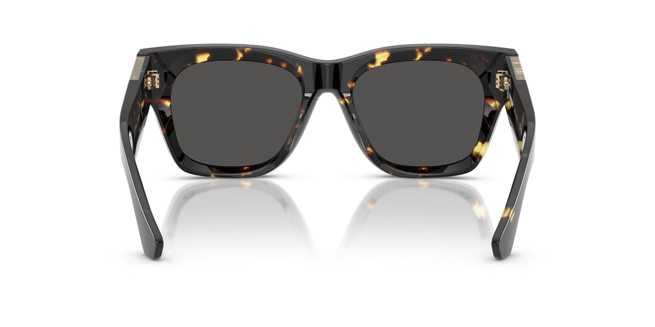 410687 - Tortoise - Dark Grey