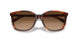 574174 - Tortoise - Brown Gradient