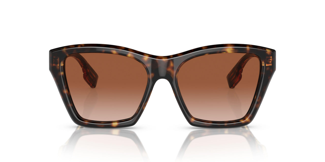 300213 - Brown - Brown Gradient
