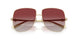 3006BV - Gold - Grey Gradient Bordeaux