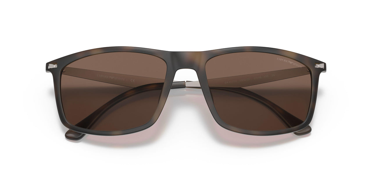 500273 - Havana - Dark Brown