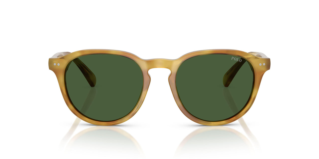 618571 - Tortoise - Bottle Green